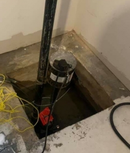 Single Sump Pump